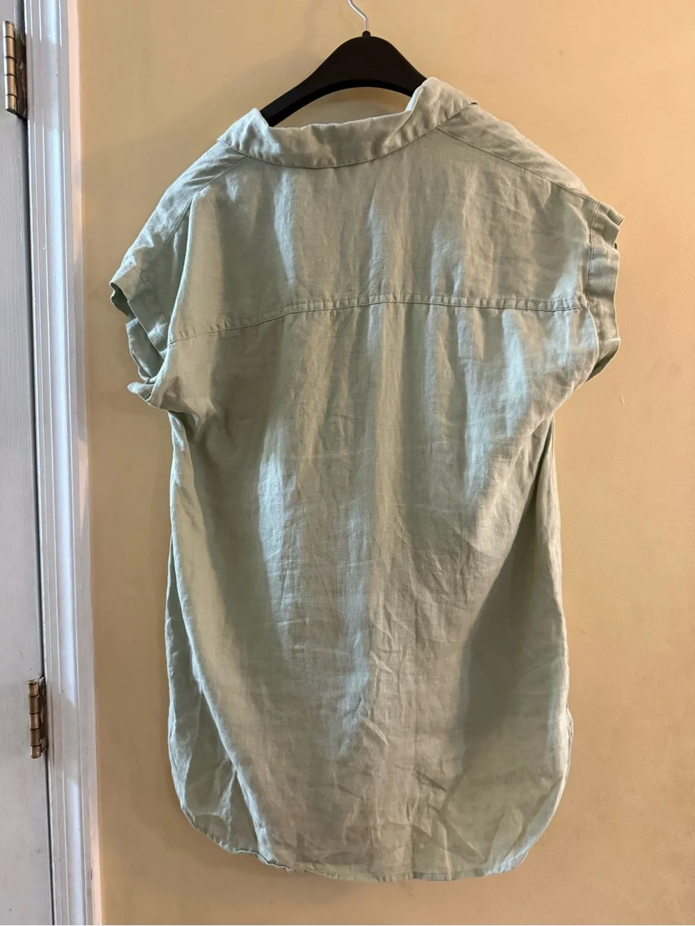 Ellen Tracy 100% Linen Shirt in Light Sage, small